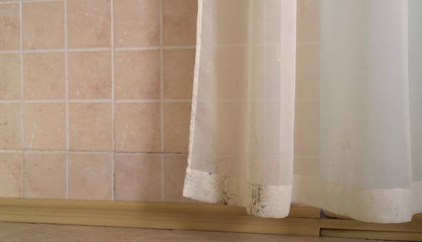 Best Mold Removal for HVAC Installations  in West Belmar, NJ
