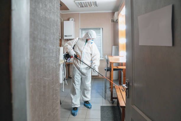 Best Dehumidification Services  in West Belmar, NJ