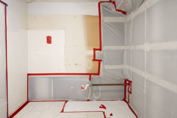 Best Asbestos and Lead Testing During Mold Inspection  in West Belmar, NJ