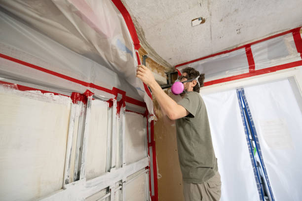 Best HVAC Mold Inspection and Cleaning  in West Belmar, NJ