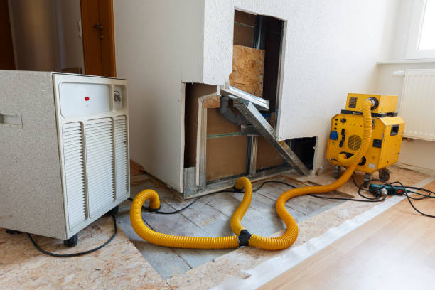 Best Comprehensive Air Testing for Mold Contaminants  in West Belmar, NJ